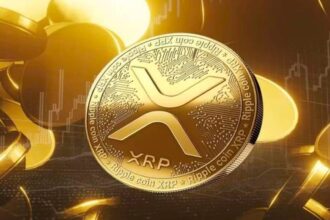 Londra Hamlesi XRP’yi Farklı Bir Yere Taşıyor
